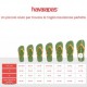 Havaianas Havaianas Jr Brasil  Corallo