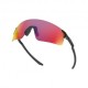 Oakley Occhiali Sci Evzero Blades Pol Nero Prizm Road