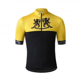 Lions giallo