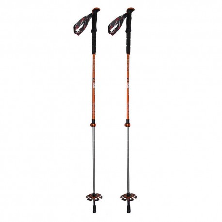 Rock Experience Bastoncini Trekking Telescopici Powder Evo