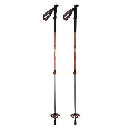 Rock Experience Bastoncini Trekking Telescopici Powder Evo