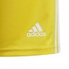 ADIDAS Pantaloncini Calcio Squadra 21 Giallo Bianco Bambino