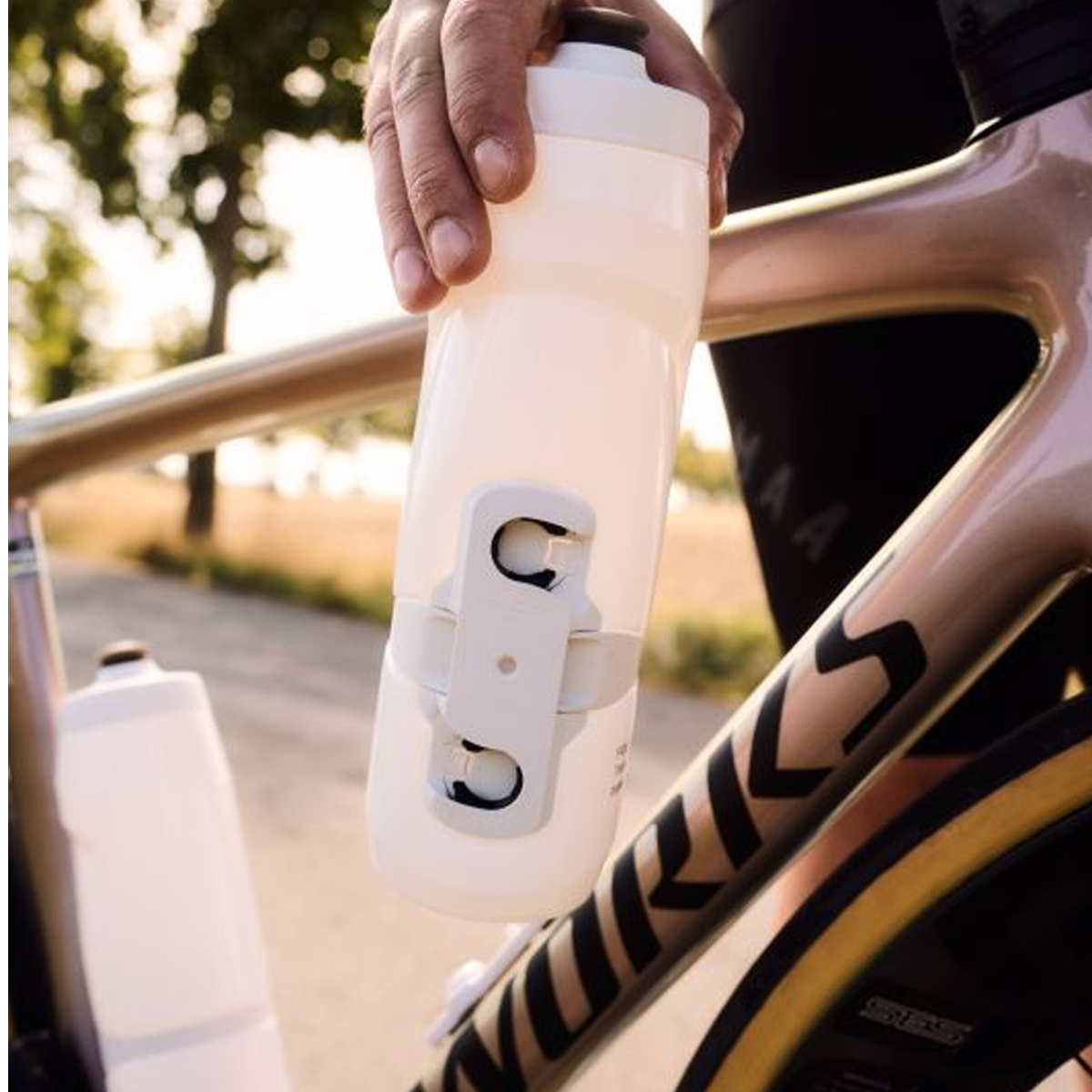 BORRACCE BICI
