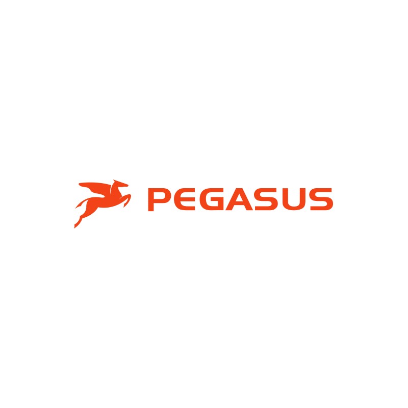 Pegasus