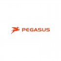 Pegasus